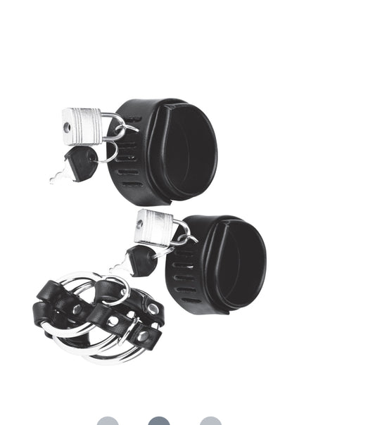 BLUE LINE C&B GEAR Locking Ball Bahre & Schwanzkäfig