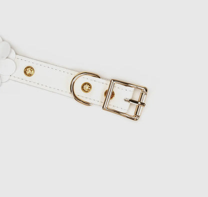 Weißes Lederhalsband mit Blumen und Leine