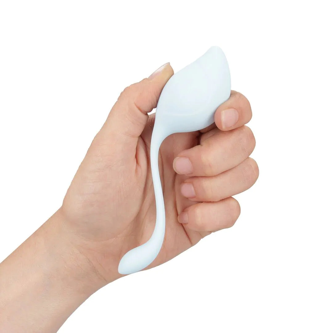 Loveline Beckenschaft Kegel Kit - Mehrfarbig