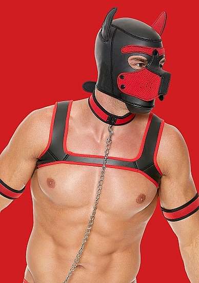 Neoprene Puppy Kit S/M