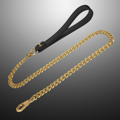 Leine – Schwarz/Gold