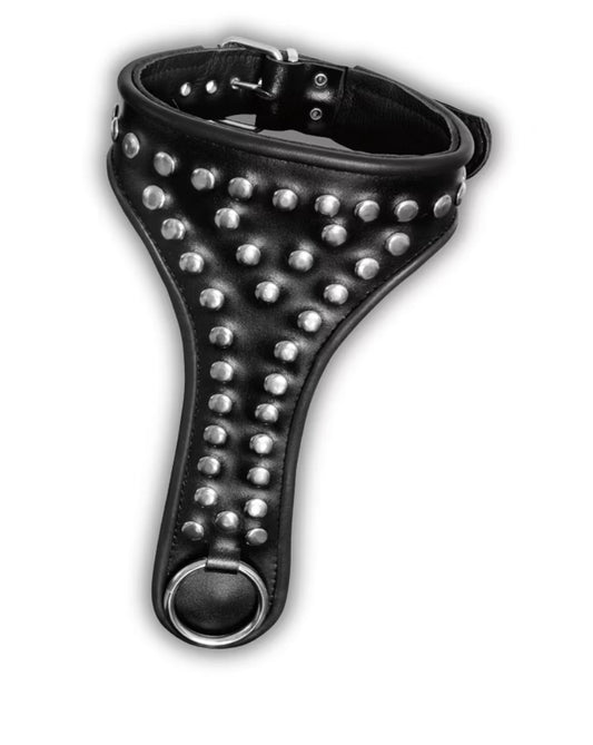 Luxuriöses Accessoire – Echt Lederhalsband mit O-Ring